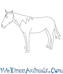 Free cliparts that you can download to you computer and use in your designs. How To Draw A Mustang Horse