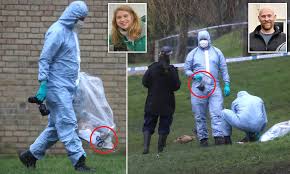 Harding said the pathologist has not given a medical cause of death but confirmed no natural disease was found and said tests would continue. Sarah Everard Police Cordon Off Kent Builders Yard Containing Skip In Search For Evidence Daily Mail Online
