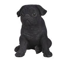 Beautiful pug puppies is offering high quality akc registered pug puppies for sale. Hi Line Gift Black Pug Puppy Statue 87771 U The Home Depot