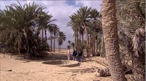 Exodus 15 27 Then They Came To Elim Where There Were Twelve Springs And Seventy Palm Trees And They Camped There N Arqueologia Biblica Arqueologia Geografia