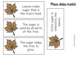 main idea mini lesson with why do leaves change color