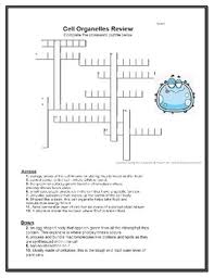 Maybe you would like to learn more about one of these? Cell Organelle Crossword Puzzle Worksheets Teaching Resources Tpt