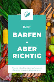 Den Hund Richtig Barfen Worauf Musst Du Achten Barfen Hund Barf Futter Richtig Barfen Tiergesundheit Vetevo Barfen Hunde Ernahrung Hunde Hund Barfen