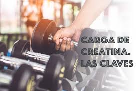 CÓMO SE HACE LA CARGA DE CREATINA? - PowerBlog