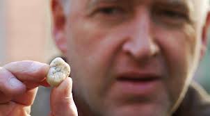 The Book of Genesis #18