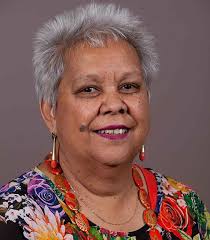 APSA Program Overview