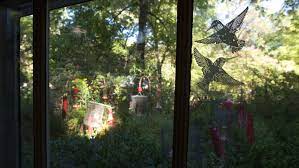 Uv marker or tempera paint can be a temporary. How To Make Your Yard And House Safe For Birds Audubon