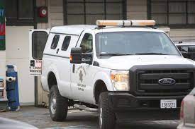 By eileen jassowksi el dorado county animal services is always looking for volunteers to help exercise and socialize the animals transitioning though the facility. Man Arrested Dog Shot In South Lake Tahoe Drug Bust Tahoedailytribune Com