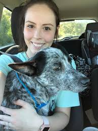 How to contact Dixie and her family after a laptop failure?