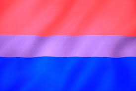 Michael page, a campaigner for bi rights and visibility in the usa created the bisexual pride flag in 1998. Lgbtq Pride Flags And Their Meanings