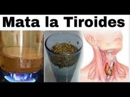 Elimina A La Tiroides Para Siempre Con Semillas De Cilantro En Solo 8 Dias Youtube Tiroides Remedios Naturales Remedios