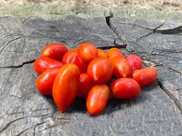 Image result for tomato Datterino