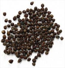 Resultado de imagen para ratones en tu huerto spray Â´pimienta