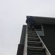 Pest control services near me in sowerby bridge. Top 10 Best Pest Exterminators In Jersey City Nj Angi