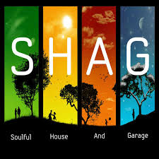 Djps S H A G Soulful House And Garage Live Radio Show On
