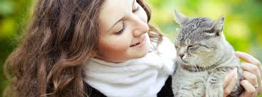 Il peut aussi voir divers problèmes de santé apparaître comme dans la suite de notre article comment savoir si un chat va mourir nous détaillerons au maximum ces 10 je ne vois pas les signes d'une agonie insupportable : Longevite Du Chat Jusqu A Quel Age Vit Un Chat Purina