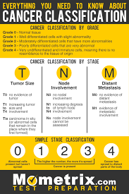 Cancer Classifications And Metastasis Nclex Review Cancer Nurses Oncology Nursing Pharmacology Nursing
