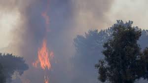 Manavgat'ta orman yangını antalya'nın manavgat ilçesinde bereket mahallesi dere mevkisinde orman yangını çıktı. Ze9jnpgp Fruam