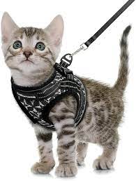 Buy Catromance Cat Harness And Leash Escape Proof Kitten Harness And Leash Set For Walking Adjustable Cat Vest Harness For Kittens Breathable Kitty Harness With Reflective Strips And Easy Control Online In
