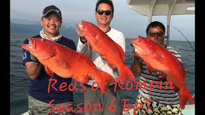Built for 4 different species of game fish such as cutlass, snapper, bluerunners and fluke. Malaysia Rompin Macks Mahi 3d2n Ep 50 Day 1 Onzz Fishing Adventures By C Lifestyle