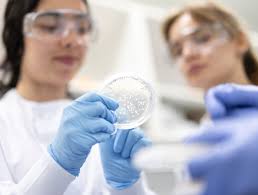 The undergraduates transforming brain health, disaster relief and  diagnostics