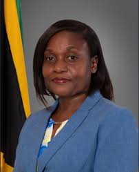 PM Holness appoints three persons to key government roles