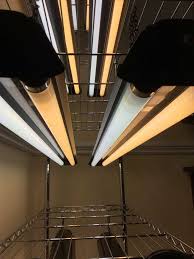 If it sounds hollow, that's the place you should hang the grow lights from. Want To Garden Like A Pro Here S A Simple And Affordable Indoor Grow Light Setup Growjourney