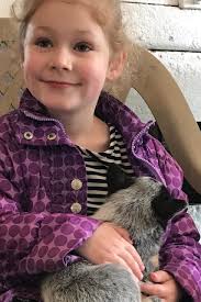 Maasdam Barns has 'Babies at the Barn' event