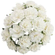 White carnation flowers near me. 50 White Mulberry Paper Carnation Flowers 112818 Wild Orchid Crafts