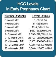 hcg levels babycenter