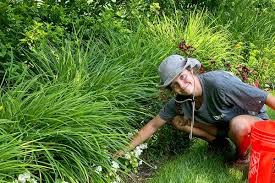 Landscape Services in Petoskey, MI