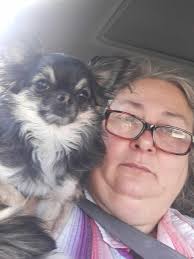 Lost dog found in Arkansas near Dollar General