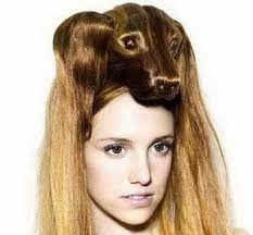 Animal Hairdos Crazy Hair Hairdo Hair Humor