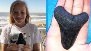 Tooth is unrestored, this is how i found it! Girl Finds Prized Prehistoric Shark Tooth On North Carolina S Topsail Beach The Weather Channel Articles From The Weather Channel Weather Com