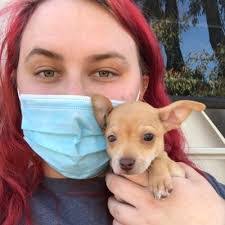 Lauren Tussey's Instagram, Twitter & Facebook