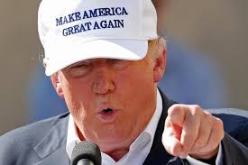 Image result for trump made in the usa pics