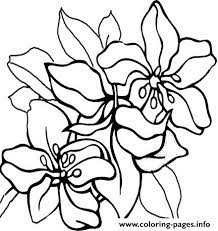 Vector ethnic pattern can be used for wallpaper, pattern fills, coloring books and pages for kids and doodle coloring pages. Tropical Flower Nature Coloring Pages Printable