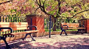 Also for mobile and tablet. Wallpaper Nature Spring 1080p Bench Spring Nature Spring Blossom