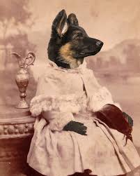 German shepherd puppies / puppies for sale + signature puppy. Amazon Com Victorian German Shepherd Puppy Altered Girl Baby Dog Portrait Anthro Art Print Handmade