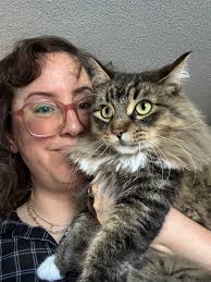 Lost cat in Edmonton neighbourhood