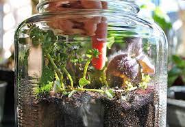 Maybe you would like to learn more about one of these? How To Make Jar Terrarium Red Ted Art Make Crafting With Kids Easy Fun