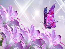 Butterfly drawing butterfly photos butterfly painting butterfly wallpaper butterfly flowers butterfly wings butterfly mobile paper butterflies monarch butterfly. 45 Wallpaper Butterflies And Flowers On Wallpapersafari