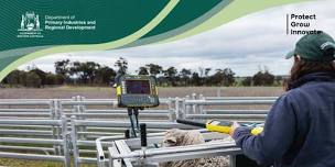 Sheep and Goat Electronic Identification (eID) Workshop