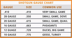 66 Surprising Buckshot Diameter Chart