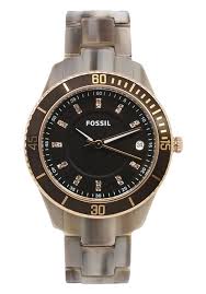 Pin On Fossil