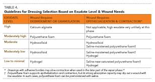 moist wound healing the new standard todays veterinary