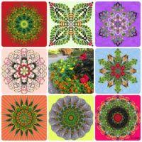 Colorful nature flowers forest gardens plants. Tl2uuxjipj Xem