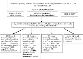 3 + means there are too many. A Roundtable Discussion Of The Breast Cancer Therapy Expert Group Bcteg Clinical Developments And Practice Guidance On Human Epidermal Growth Factor Receptor 2 Her2 Positive Breast Cancer Sciencedirect