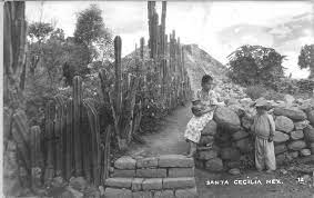 Mexican Ruins Santa Cecilia Vintage Postcard State Of Mexico Postcard