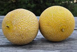 Wann eine honigmelone reif ist, erkennt man an den geruch und einem satten honiggelb der schale. Melonen Was Ist Der Unterschied Aktuelles Landlinie